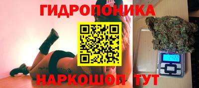 прущие грибы Мариинск