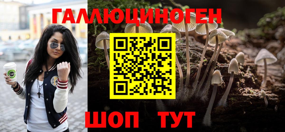 Гусиноозёрск  Псилоцибиновые грибы мухоморы  Вход с VPN 