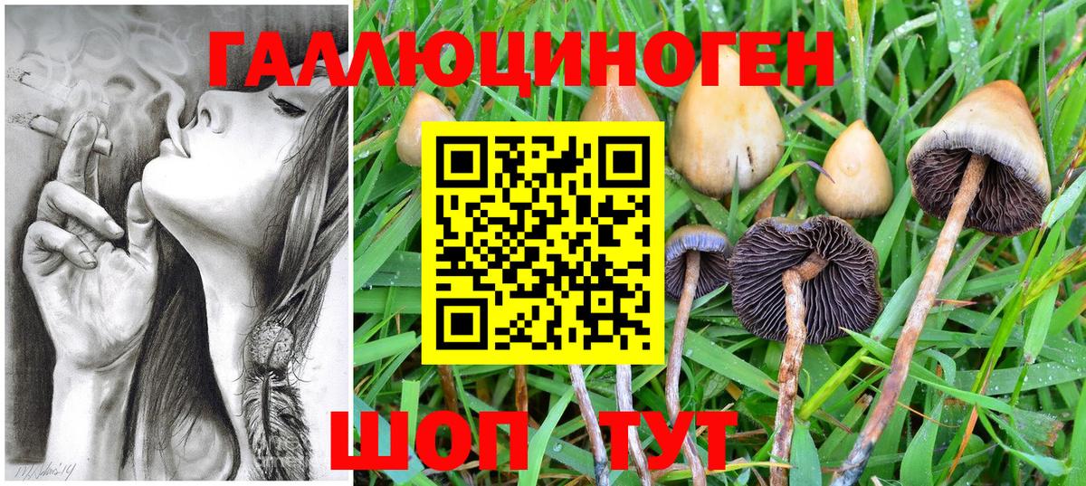 Псилоцибиновые грибы Magic Shrooms Гусиноозёрск